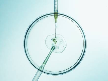 Inverness, IL family lawyer